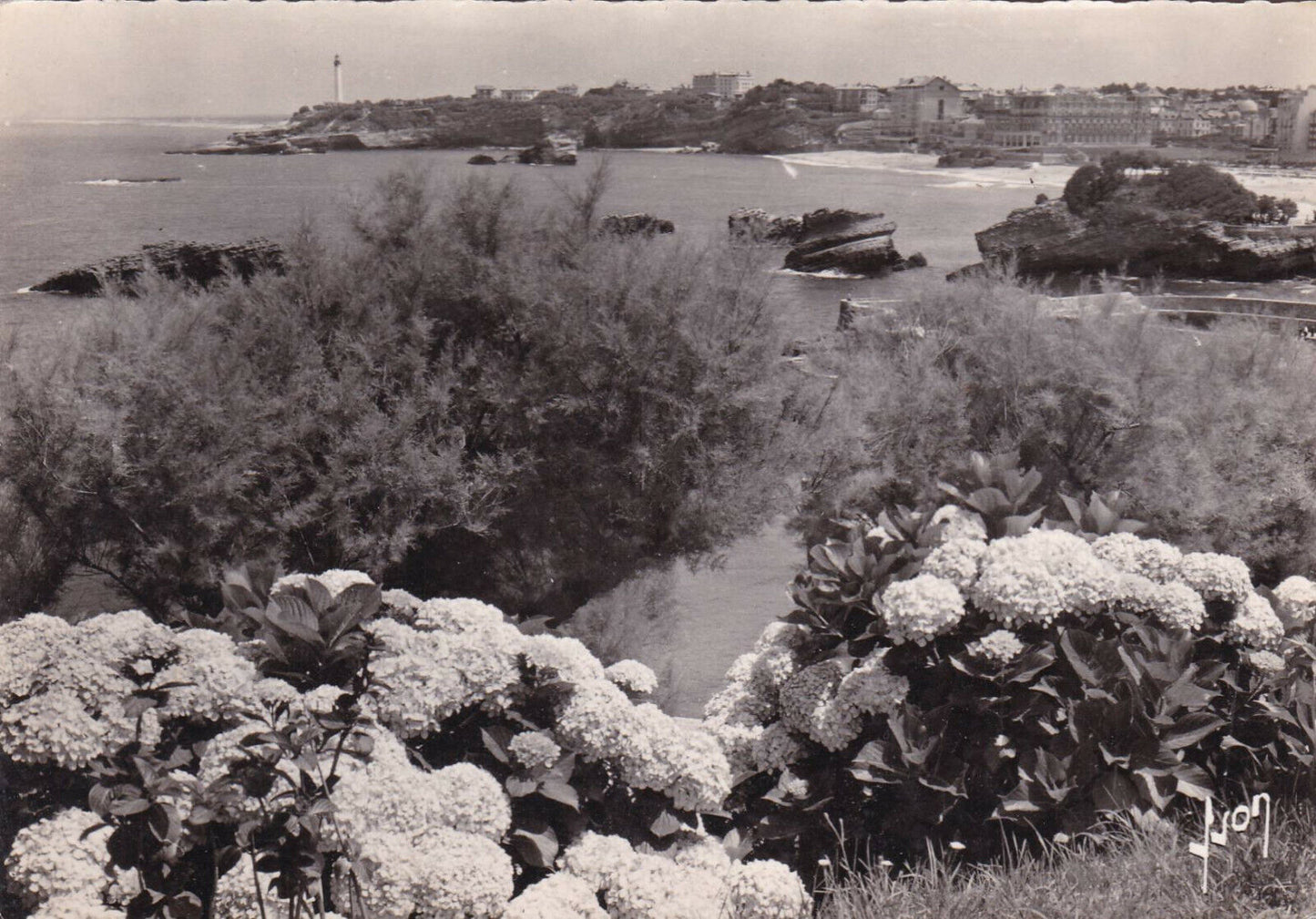 CPSM BLACK &amp; WHITE POSTCARD / BIARRITZ LE CAP ST-MARTIN 
