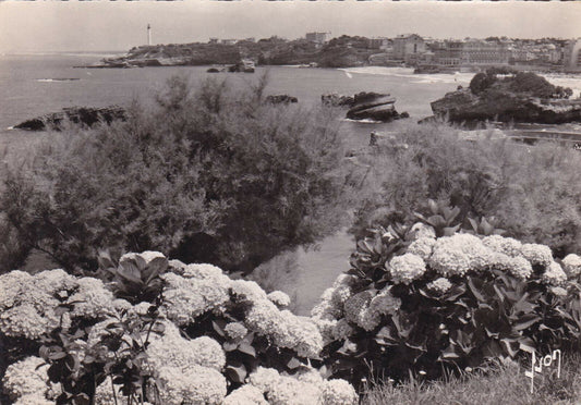 CPSM BLACK &amp; WHITE POSTCARD / BIARRITZ LE CAP ST-MARTIN 