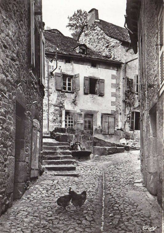 CPSM BLACK &amp; WHITE POSTCARD / CHAUDES-AIGUES CANTAL SOURCE OF THE PAR 