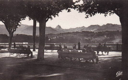 CARTE POSTALE CPSM NOIR & BLANC / PAU BOULEVARD DES PYRENEES (1955)