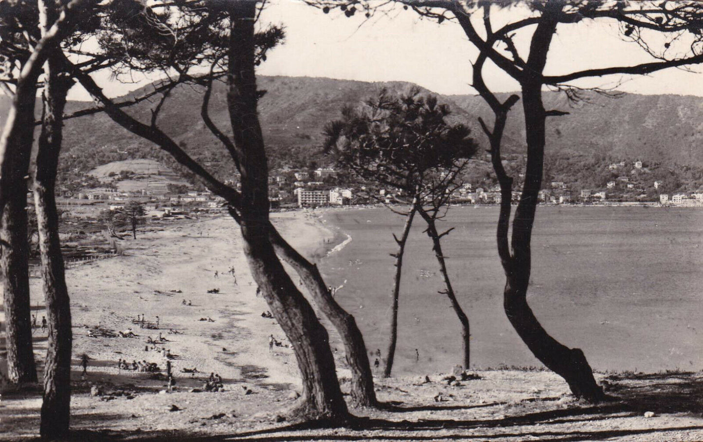 CARTE POSTALE CPSM NOIR & BLANC / LE LAVANDOU VAR LA PLAGE