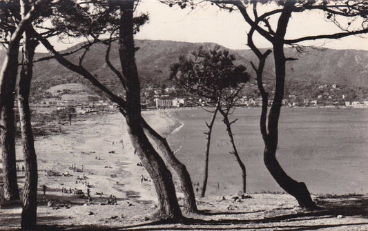 CARTE POSTALE CPSM NOIR & BLANC / LE LAVANDOU VAR LA PLAGE