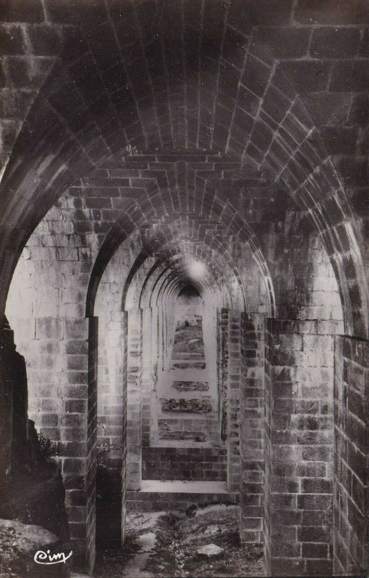 CARTE POSTALE CPSM NOIR ET BLANC / CLISSON INTERIEUR DU VIADUC CONSTRUIT EN 1840