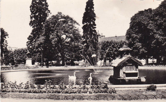 CARTE POSTALE CPSM NOIR ET BLANC / MOULINS SQUARE GENERAL LECLERC BASSIN CYGNES