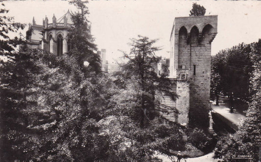 CARTE POSTALE CPSM NOIR ET BLANC / MONTPELLIER LA TOUR DU PIN ET LA CATHEDRALE