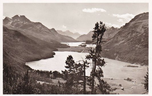 CPSM BLACK AND WHITE POSTCARD / SWITZERLAND IM ENGADIN SILVAPLANER UND SILSERSEE 