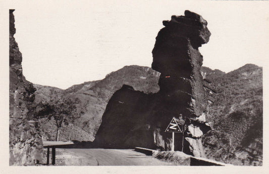 CARTE POSTALE CPSM NOIR ET BLANC / DALUIS ROUTE DES GORGES TETE DE FEMME