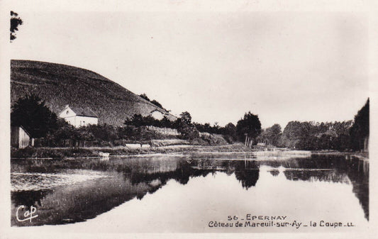 CARTE POSTALE ANCIENNE CPA NOIR ET BLANC / EPERNAY COTEAU DE MAREUIL-SUR-AY
