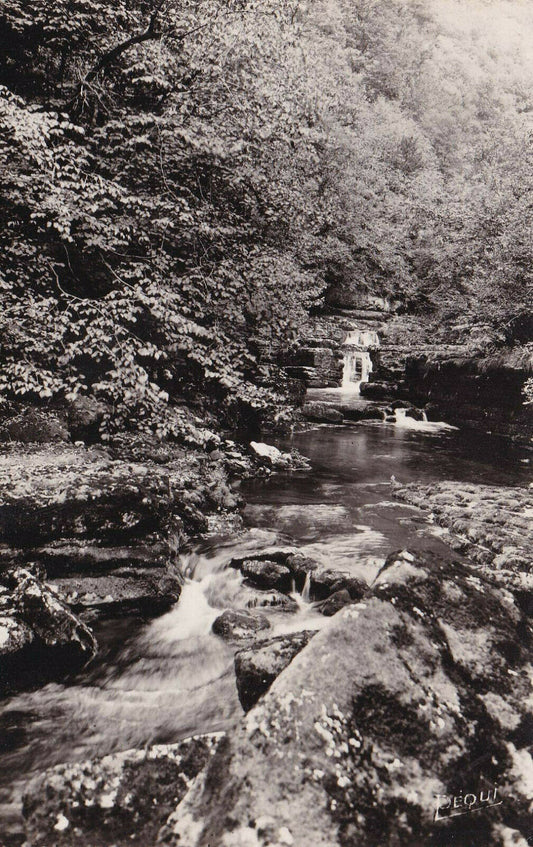 CARTE POSTALE CPSM NOIR ET BLANC / VALLEE DE LA LOUE GORGES DE NOUAILLES (1949)