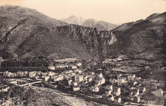 CPSM BLACK AND WHITE POSTCARD / AMELIE-LES-BAINS GENERAL VIEW OF THE TECH VALLEY 