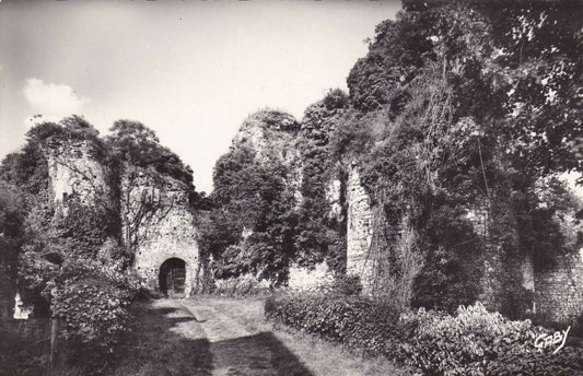 CPSM BLACK AND WHITE POSTCARD / SAINTE-SUZANNE ENTRANCE TO THE CASTLE KEEP TOWER 
