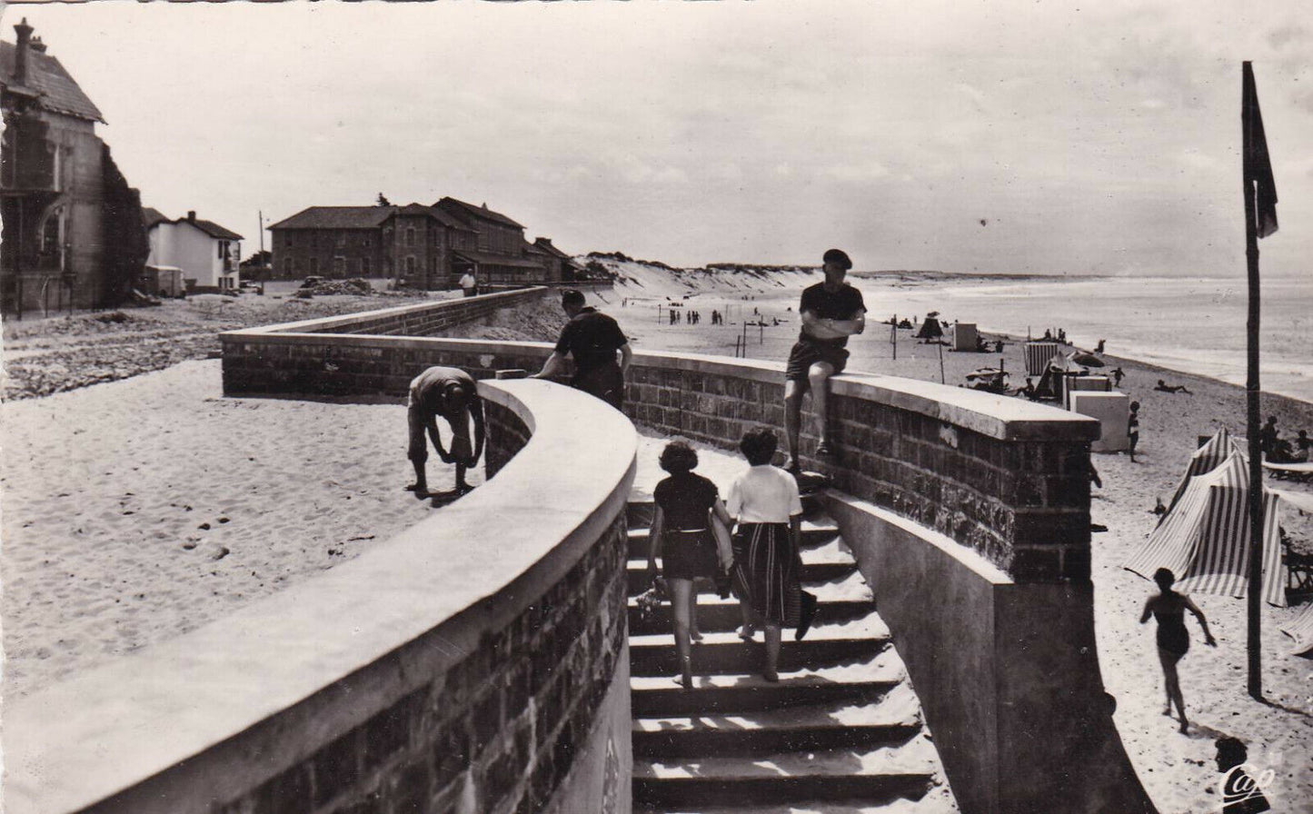 CARTE POSTALE CPSM NOIR ET BLANC / CAPBRETON LA DIGUE ET L'OCEAN