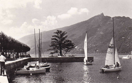 CPSM BLACK AND WHITE POSTCARD / AIX-LES-BAINS THE LAKE &amp; THE CAT'S TOOTH (1960) 