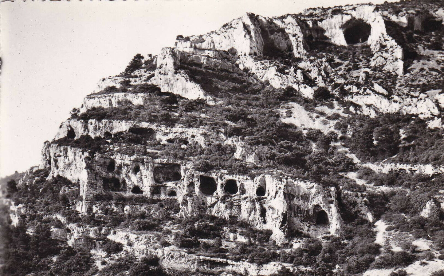CPSM BLACK AND WHITE POSTCARD / FOUNTAIN OF VAUCLUSE GROTTOS OF THE GOLDEN COW 