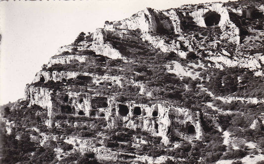 CPSM BLACK AND WHITE POSTCARD / FOUNTAIN OF VAUCLUSE GROTTOS OF THE GOLDEN COW 