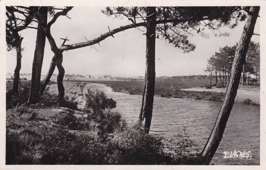 OLD POSTCARD CPA BLACK &amp; WHITE / VIEUX-BOUCAU-LES-BAINS LE COURANT 1951 