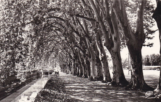 CARTE POSTALE CPSM NOIR & BLANC / BRIVE LES ALLEES ET LE CANAL