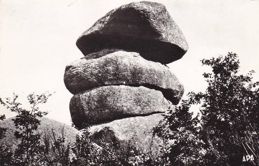CARTE POSTALE CPSM NOIR & BLANC / LE SIDOBRE TARN LES TROIS FROMAGES