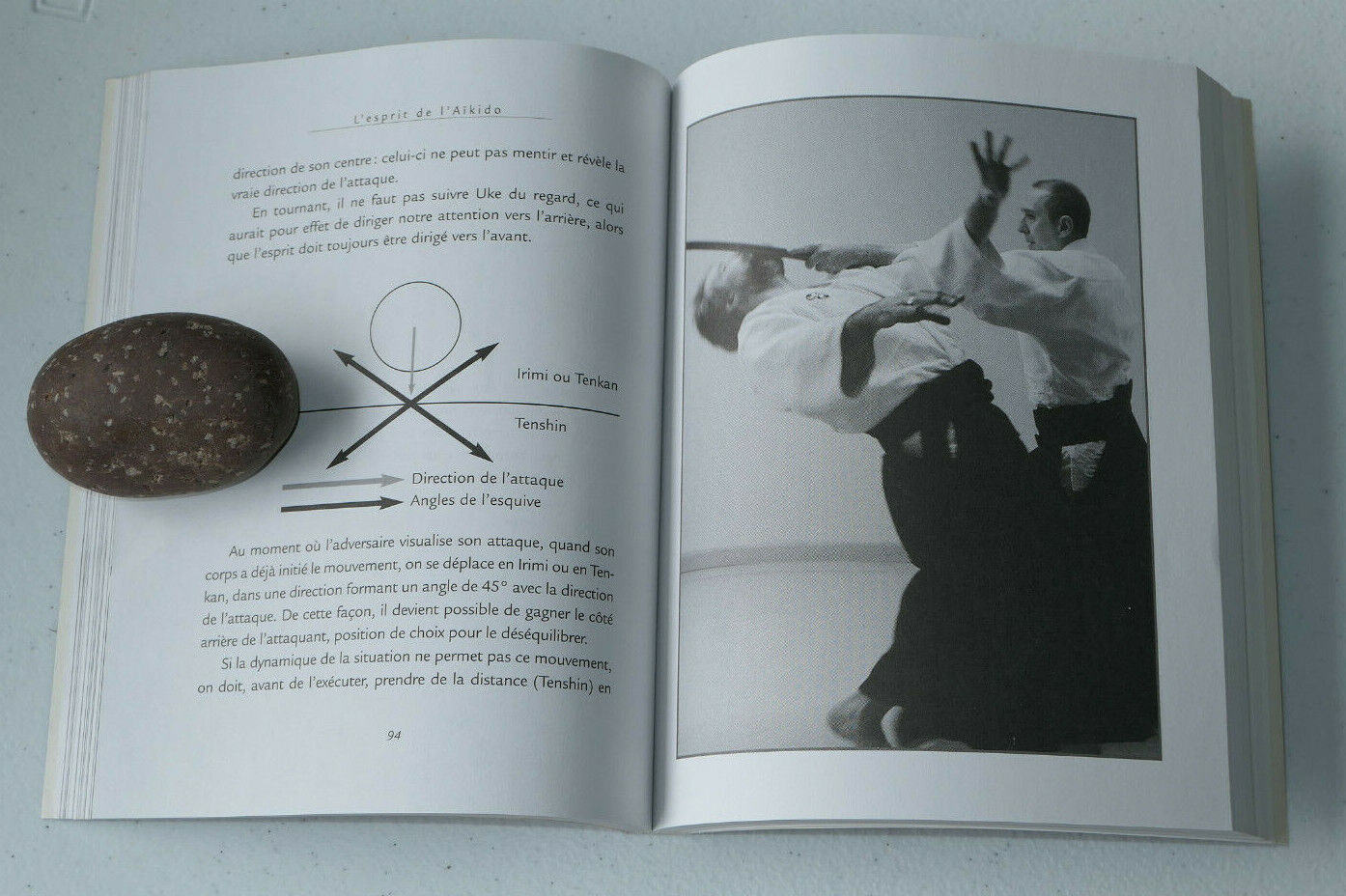 L'ESPRIT DE L'AIKIDO / MASSIMO N. DI VILLADORATA / LES EDITIONS DE L'HOMME 1998