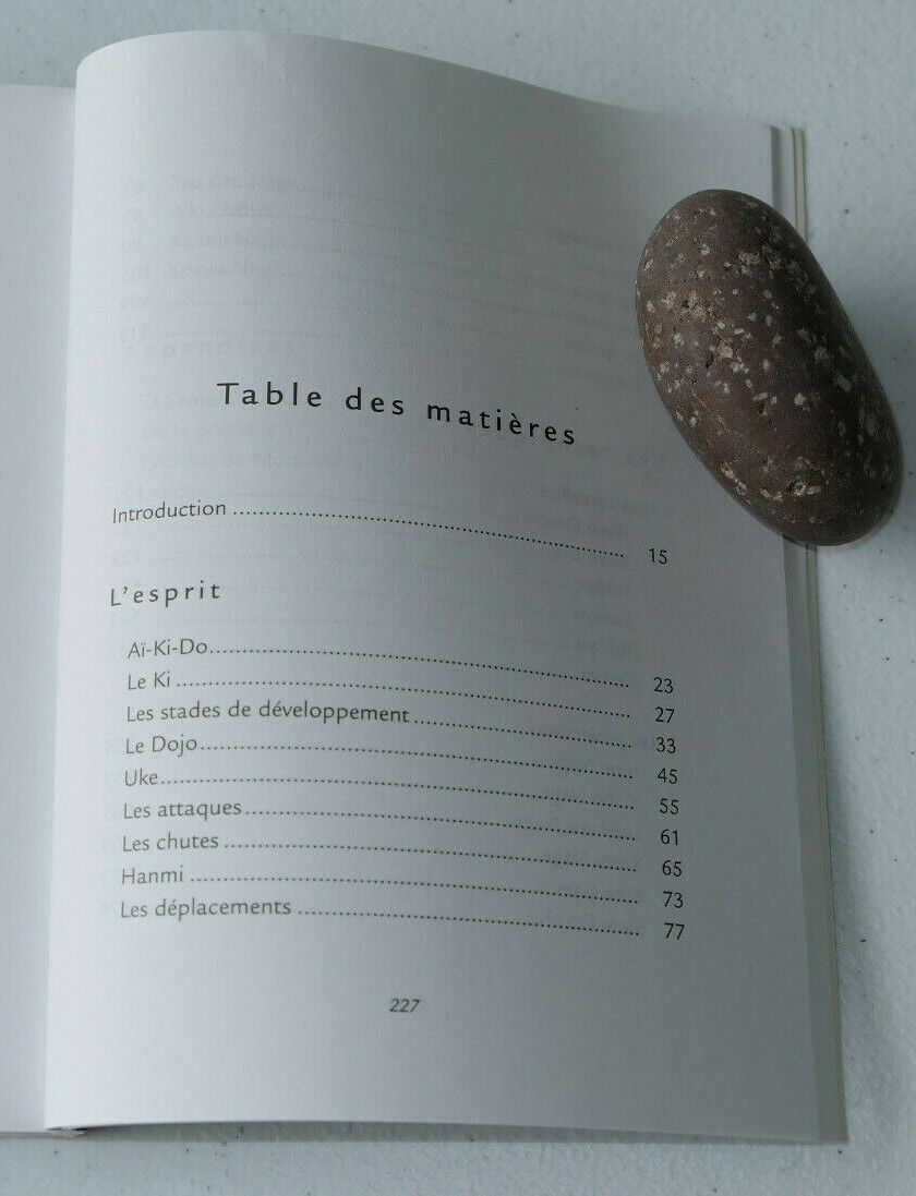L'ESPRIT DE L'AIKIDO / MASSIMO N. DI VILLADORATA / LES EDITIONS DE L'HOMME 1998