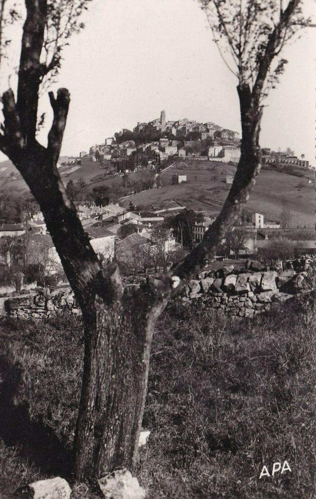 CARTE POSTALE CPSM NOIR & BLANC / CORDES TARN VUE GENERALE COTE OUEST