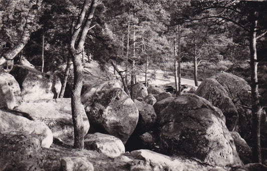 CARTE POSTALE CPSM NOIR & BLANC / MALESHERBES LOIRET LES ROCHES (1958)
