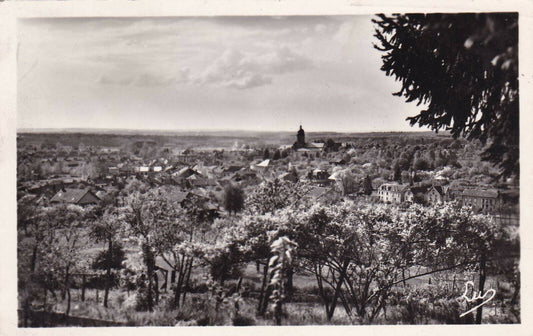 CARTE POSTALE CPSM NOIR & BLANC / BADONVILLER VUE GENERALE (1956)