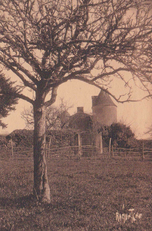 CARTE POSTALE ANCIENNE CPA / VENDEE MOUCHAMPS LOGIS FAMILIAL GEORGES CLEMENCEAU