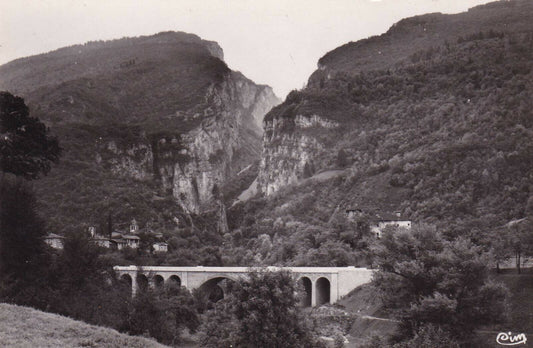 CPSM BLACK &amp; WHITE POSTCARD / COGNIN-LES-GORGES THE VIADUCT AND GORGES DU NAN 