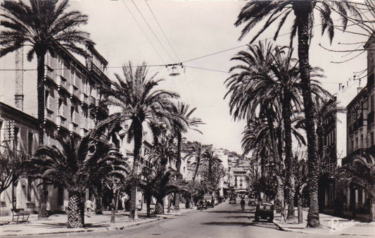 CARTE POSTALE CPSM NOIR & BLANC / HYERES LES PALMIERS AVENUE GAMBETTA