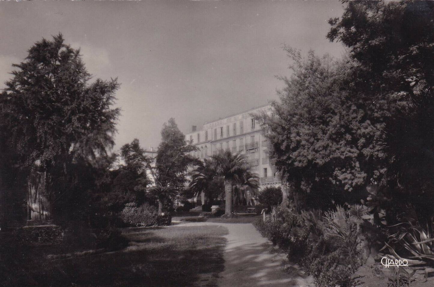 CARTE POSTALE CPSM NOIR & BLANC / HYERES-LES-PALMIERS JARDIN ALPH.-DENIS