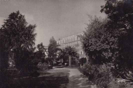 CARTE POSTALE CPSM NOIR & BLANC / HYERES-LES-PALMIERS JARDIN ALPH.-DENIS