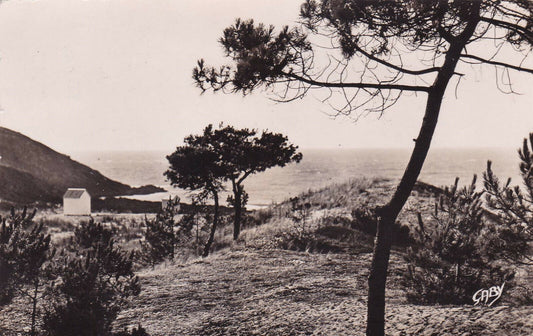 CPSM BLACK &amp; WHITE POSTCARD / OLD TOWN-PLEHEREL THE DUNES AND THE BEACH 