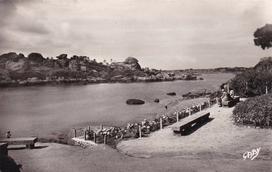 CARTE POSTALE CPSM NOIR & BLANC / PLOUMANAC'H SORTIE DU PORT