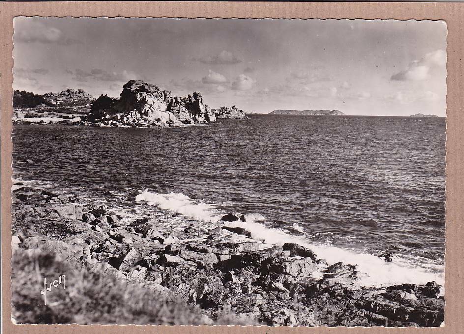 CPSM BLACK &amp; WHITE POSTCARD / PLOUMANAC'H DEVIL'S CASTLE SQUEVEL BONO ISLAND 