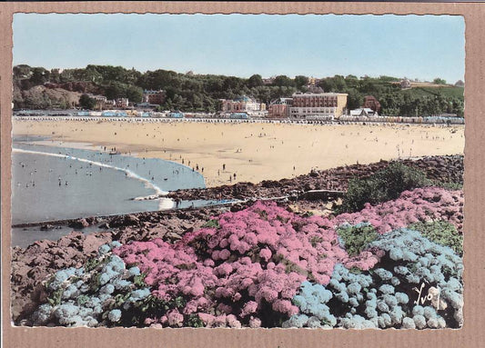 CARTE POSTALE CPSM COULEUR PERROS-GUIREC PLAGE DE TRESTRAOU