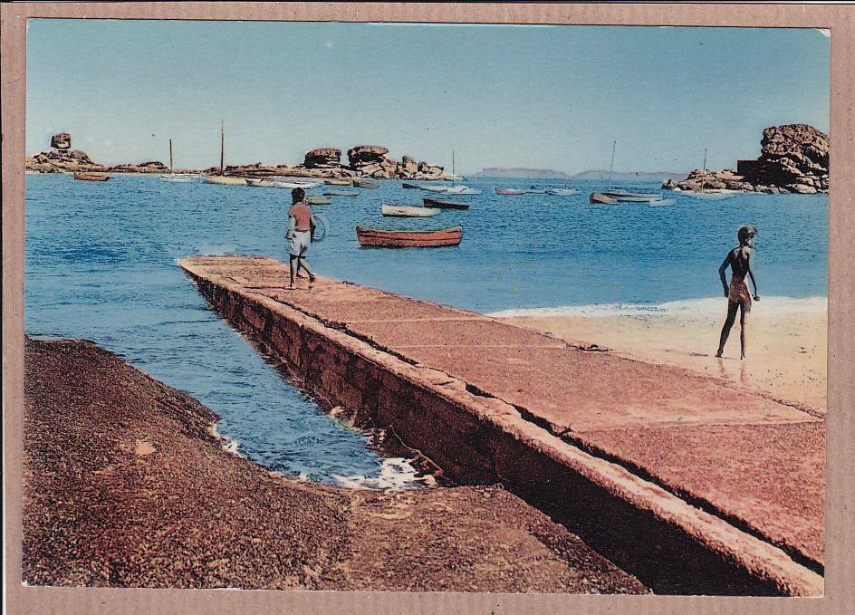 CPSM COLOR POSTCARD / TREGASTEL THE PORT FISHING FLEET AT REST 