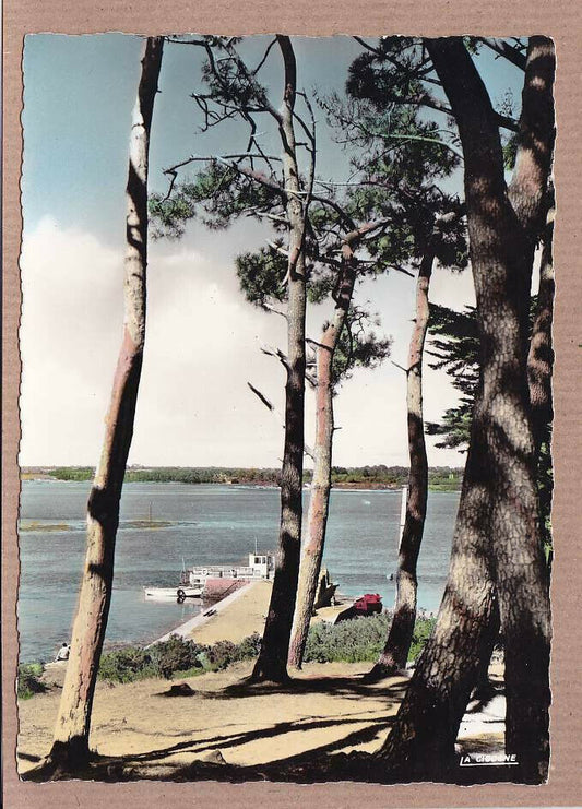 CPSM COLOR POSTCARD / ILE AUX MOINES LE DEBARCADERE 