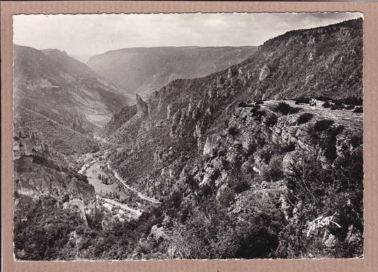 CPSM BLACK &amp; WHITE POSTCARD / THE TARN GORGES THE SUBLIME POINT 