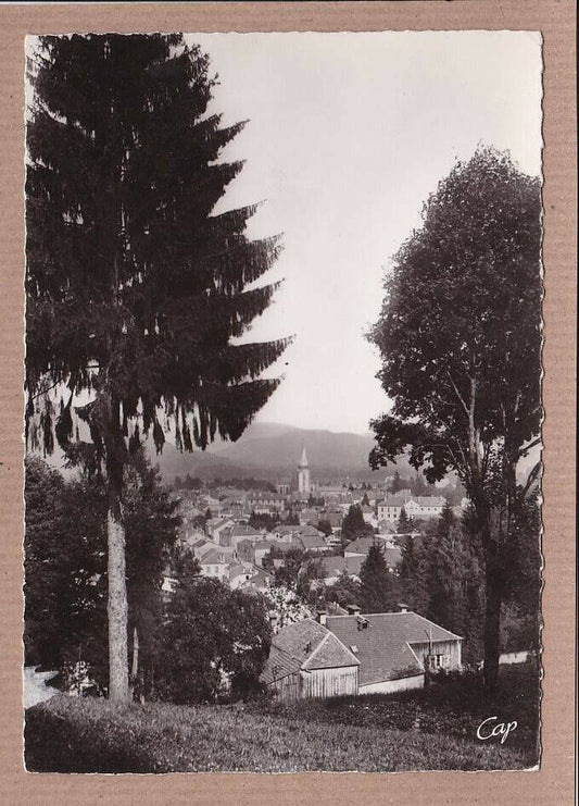 CARTE POSTALE CPSM NOIR & BLANC / REMIREMONT UNE ECHAPPEE SUR LA VILLE