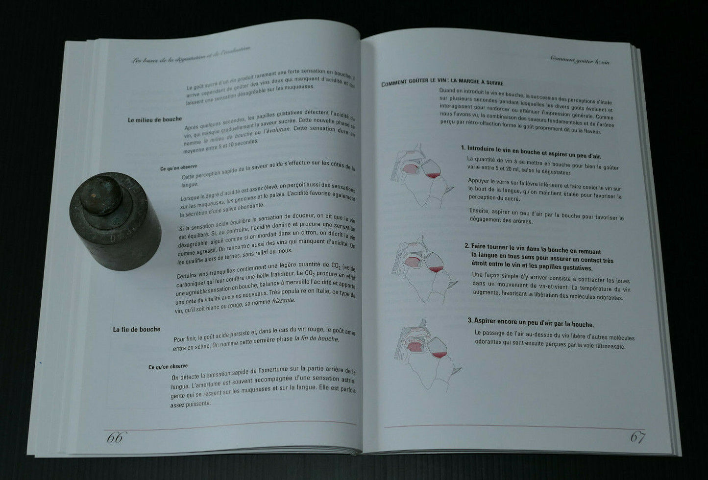 LA DEGUSTATION ET L'EVALUATION DU VIN / PIERRE RAJOTTE / GUIDE OENOLOGIE / 2006