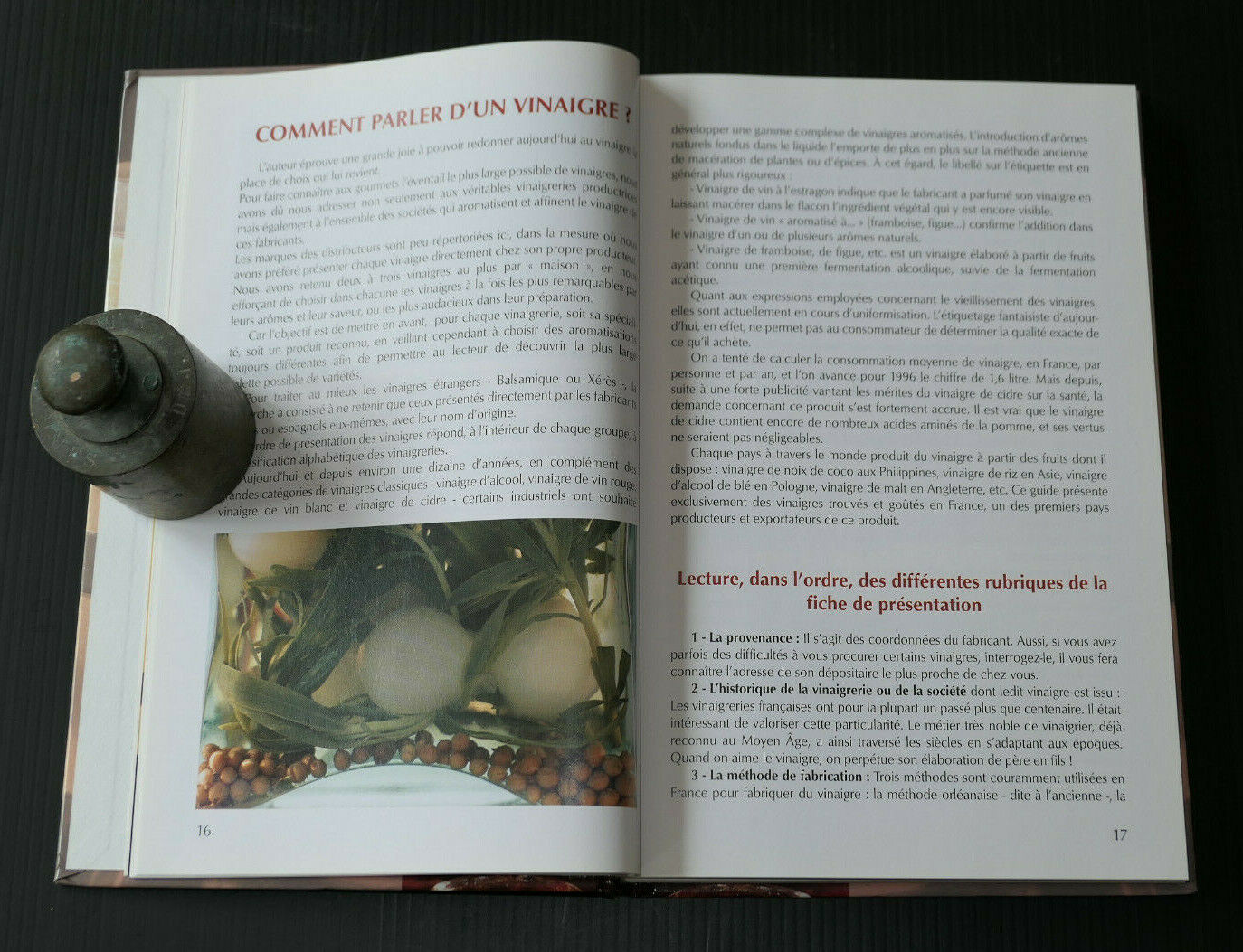 VINAIGRE LE GUIDE / CAROLINE LEFEBVRE / HERME 1999