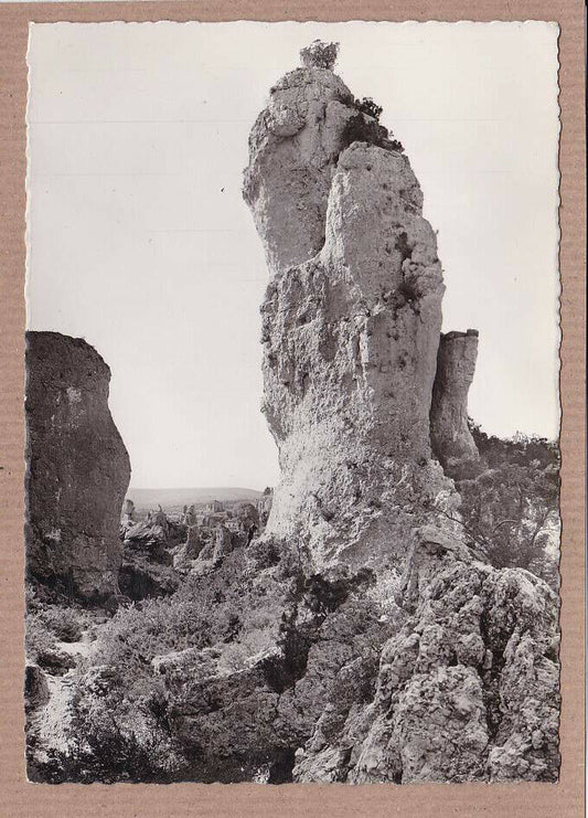CARTE POSTALE CPSM NOIR & BLANC / LANGUEDOC LES ENVIRONS DE LA MALOU-LES-BAINS