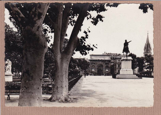CARTE POSTALE CPSM NOIR & BLANC / MONTPELLIER PROMENADE DU PEYRON (1945)