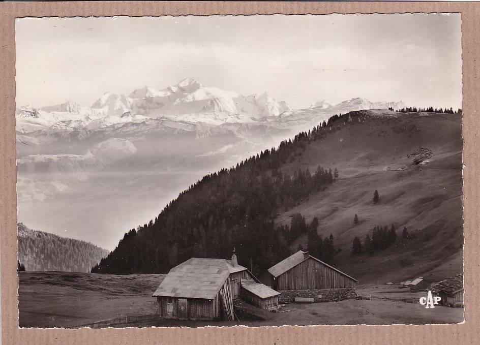 CPSM BLACK &amp; WHITE POSTCARD / GEX COL DE LA FAUCILLE VIEW OF MONT-BLANC 