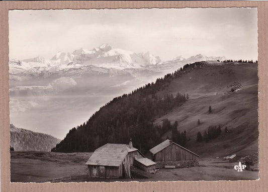 CPSM BLACK &amp; WHITE POSTCARD / GEX COL DE LA FAUCILLE VIEW OF MONT-BLANC 