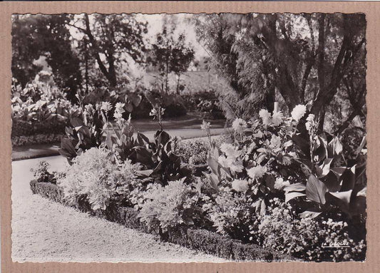 CARTE POSTALE CPSM NOIR & BLANC / DIJON JARDIN ARQUEBUSE (1955)