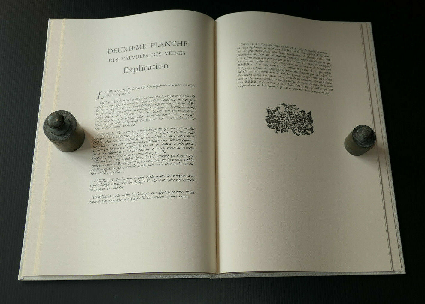 DES VALVULES DES VEINES / DE VENARUM OSTIOLIS / ANATOMIE / LOUIS PARIENTE 1981