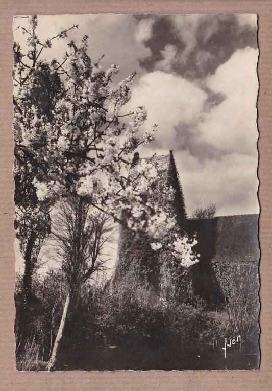 CPSM BLACK &amp; WHITE POSTCARD / THE OLD CHURCH OF CRIQUEBOEUF IN SPRING 
