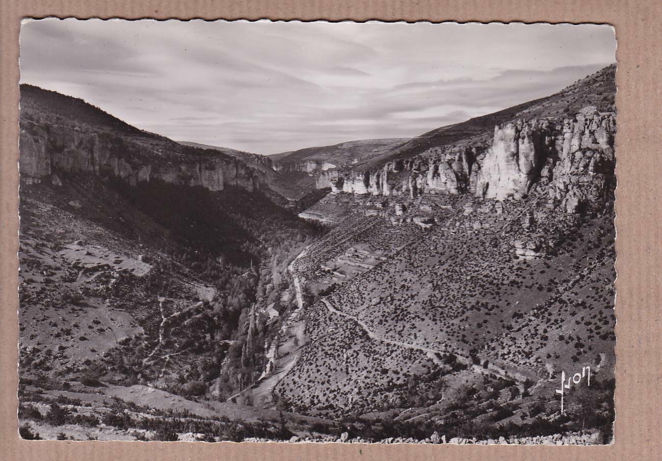 CARTE POSTALE CPSM NOIR & BLANC / VALLEE DE LA JONTE LOZERE